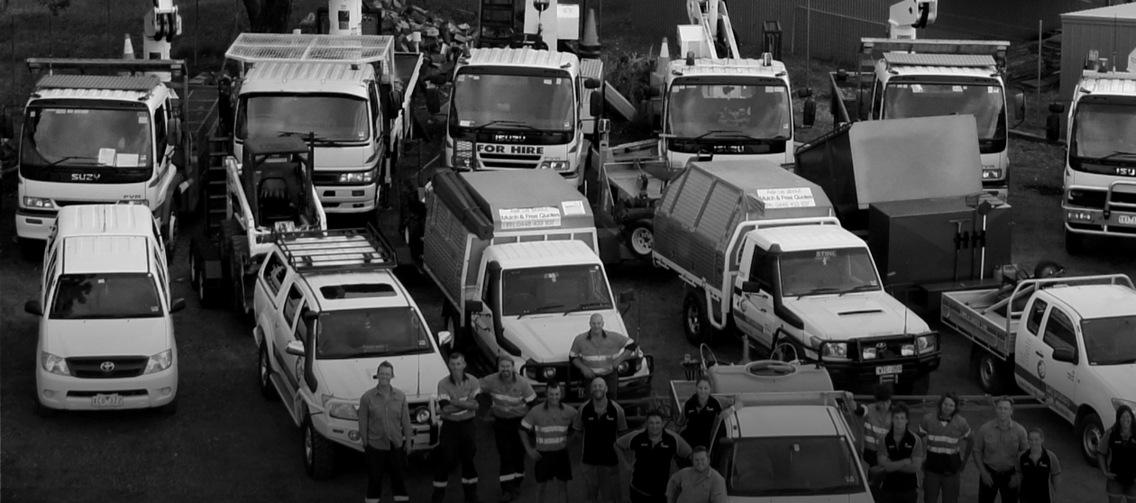Our dedicated crews perform a wide range of services.