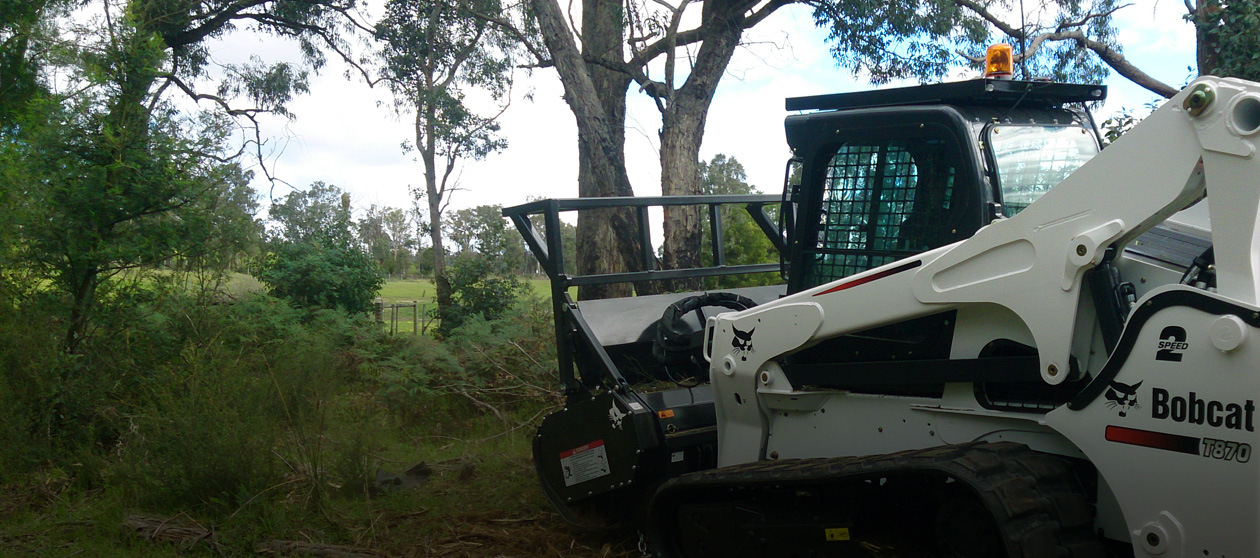 We are proud to offer <br> Forestry Mulching as part <br>of our growing list of services.