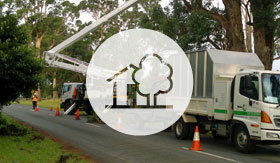 Tree Services & Forestry Mulching